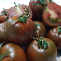 [신선한아침]국내산 흑토마토 2kg