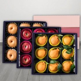 [프레쉬팜]실속 사각 선물세트 배한박스(9과)+사과한박스(9과)+한라봉한박스(9과)/10.5kg_반값