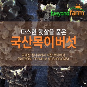 [경기6차산업인증] 최박사의 버섯농장 친환경 건목이버섯 30g